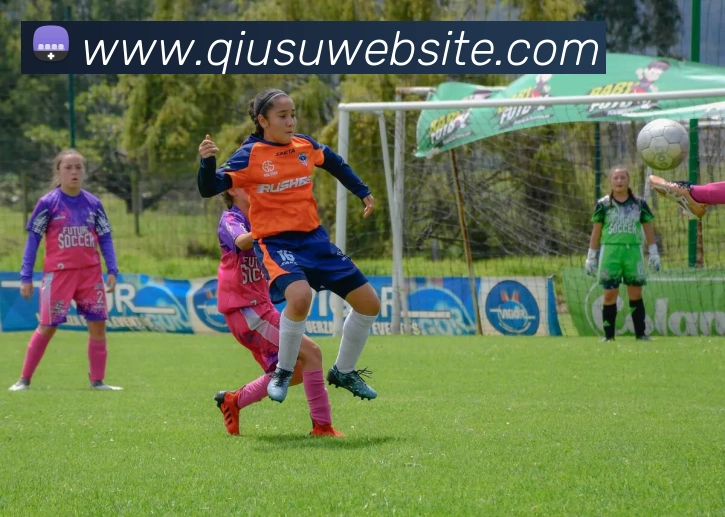 球速体育全站App